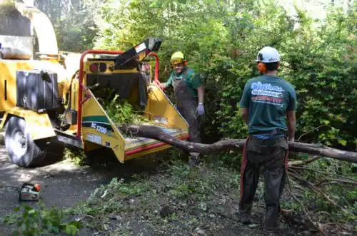 tree services Red Bud